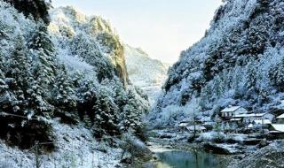 艳阳高照暖大地解一肖