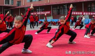 嵩山少林寺武术学院